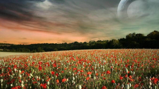 如何看待伊朗议员沙赫里亚里：  我们恳求最高领袖批准使用核武器？